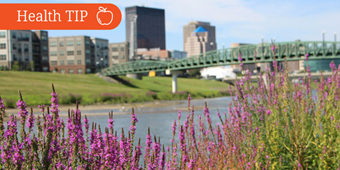 HT_Dayton-Allergies_760x427