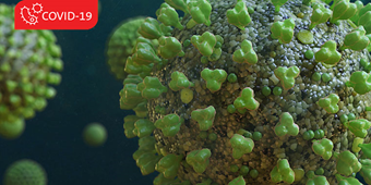 Coronavirus visualization