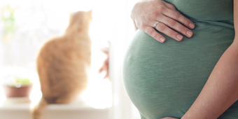 Pregnant-Toxoplasmosis-760